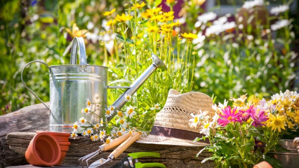 Сегодня Всемирный день окружающей среды