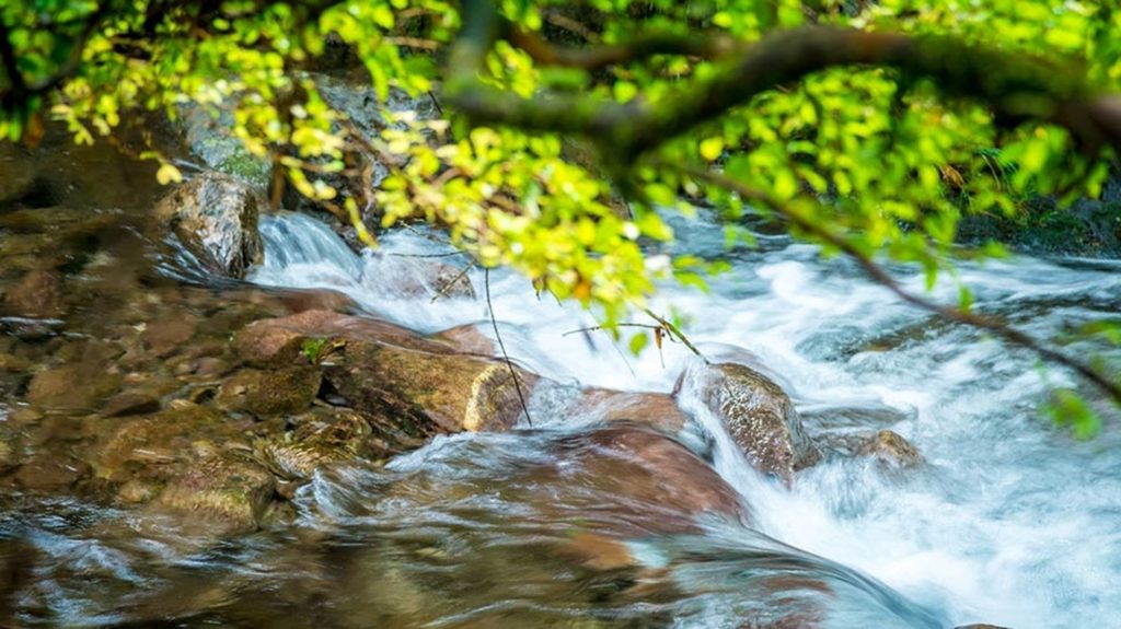 Сегодня Всемирный день воды - 5 простых правил его сохранения