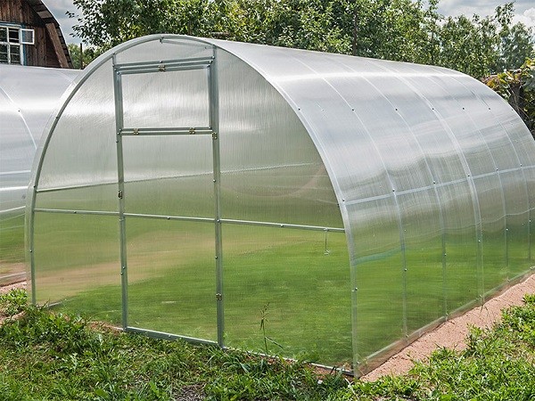 Теплицы из поликарбоната: виды, преимущества Теплицы из поликарбоната: виды, преимущества