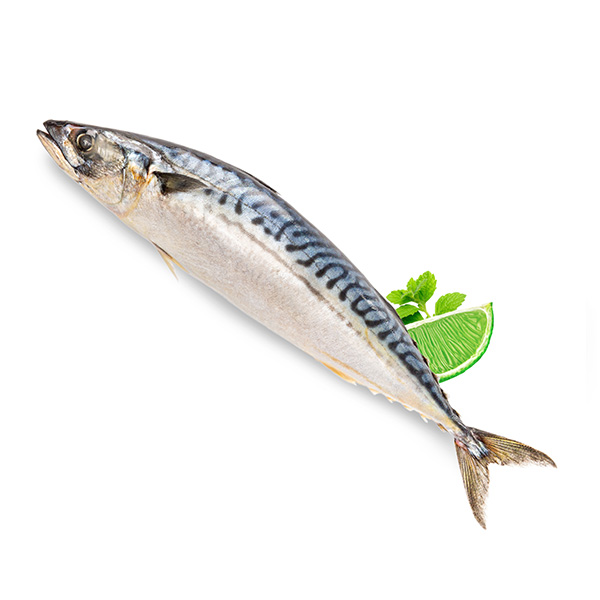 Скумбрия свежемороженая: вкусное и полезное блюдо