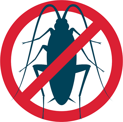 Проблема тараканов в доме